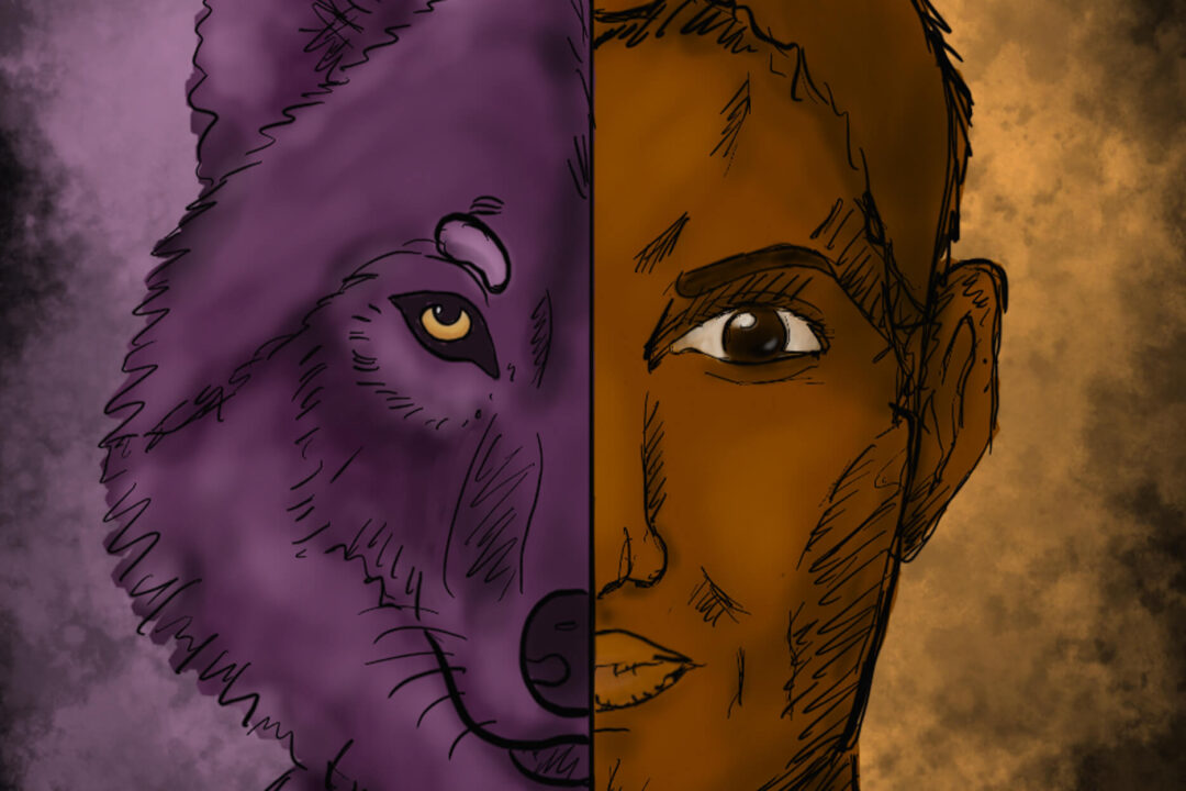 Scrollytelling: Koexistenz Mensch und Wolf